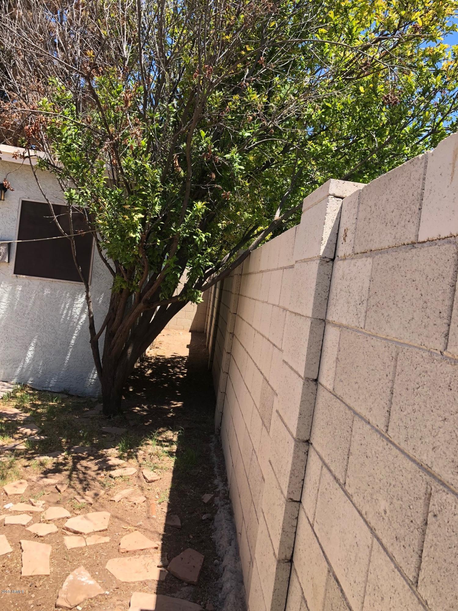 1340 East Hall Street Tempe, AZ 85281 - Photo 43 of 44 IMG_3961