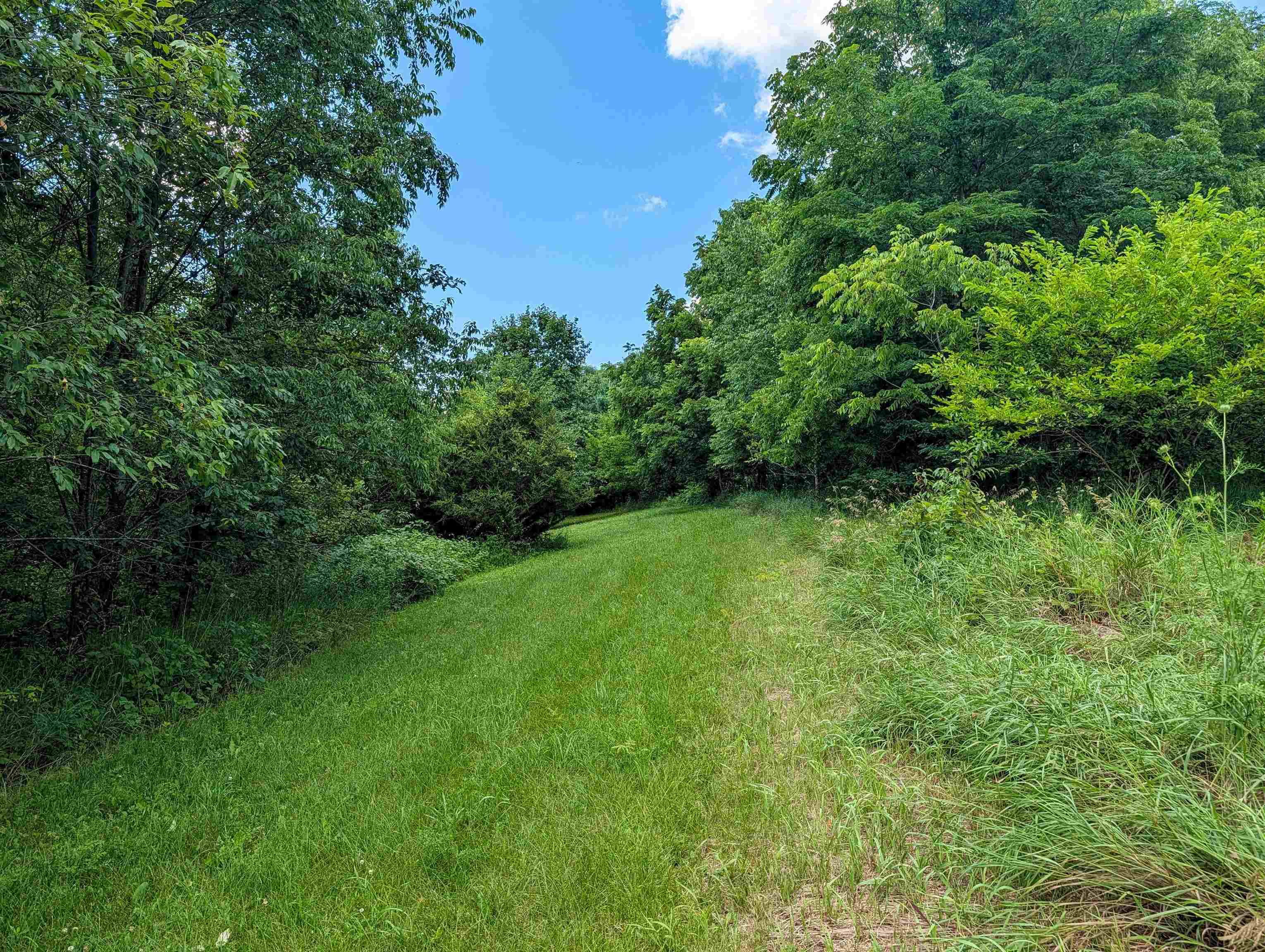 32747 State Highway Muscoda, WI 53573 - Photo 15 of 83