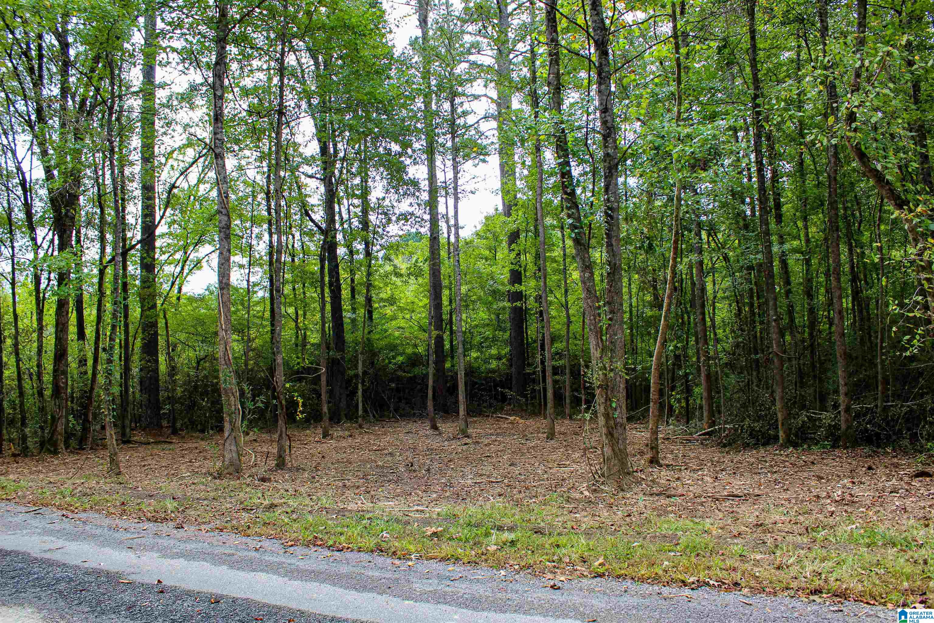 1 Highway 18, Unit 1 Oakman, AL 35579 - Photo 24 of 46
