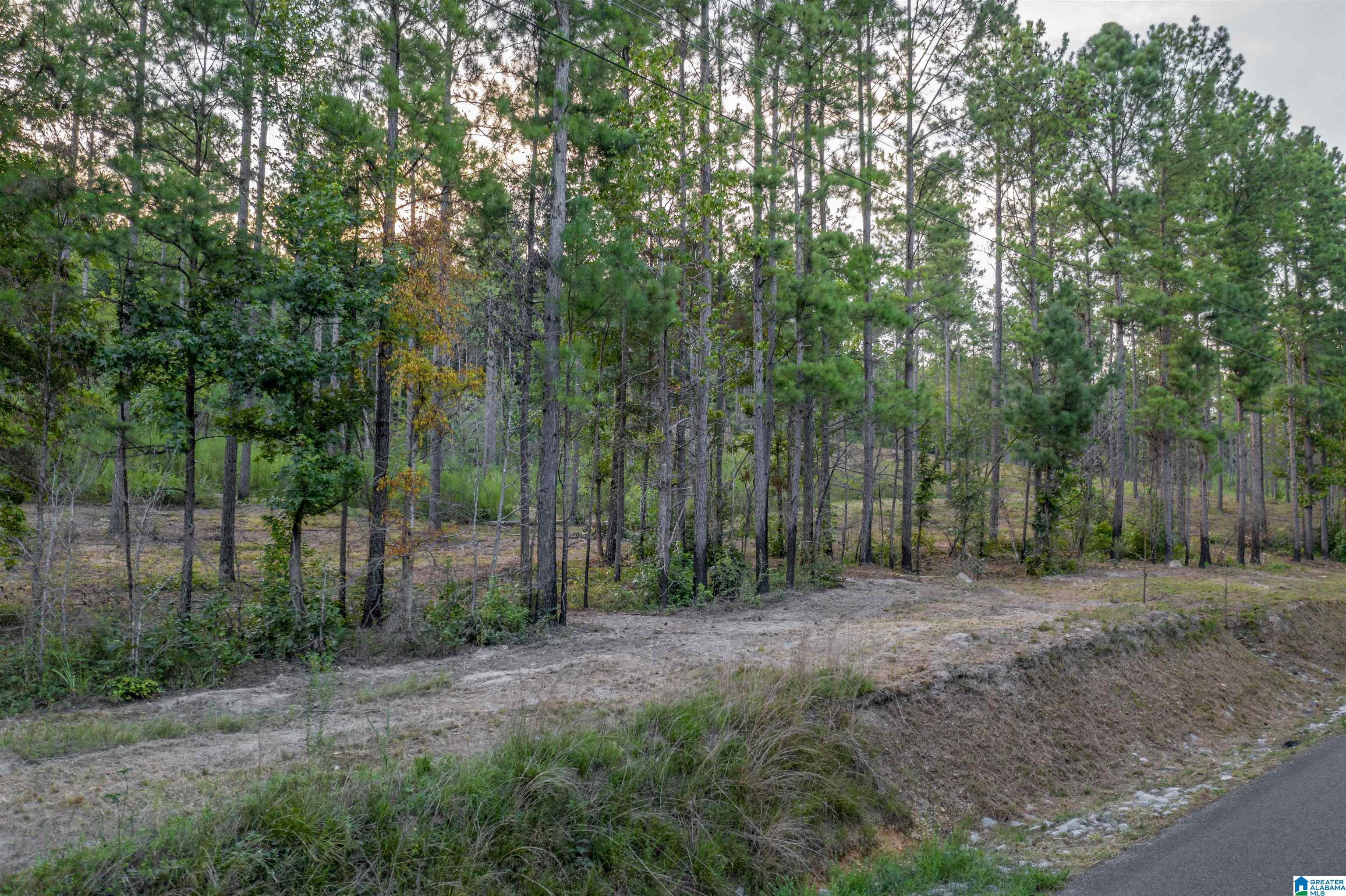 2735 Greensport Road Ohatchee, AL 36271 - Photo 7 of 10