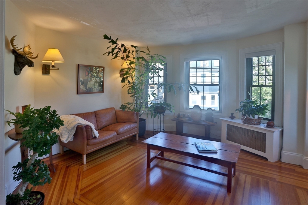 4 Willow Avenue, Unit 2 Salem, MA 01970 - Photo 11 of 41 a living room with furniture and a potted plant