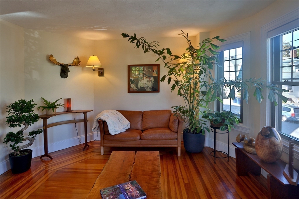 4 Willow Avenue, Unit 2 Salem, MA 01970 - Photo 15 of 41 a living room with furniture and a potted plant