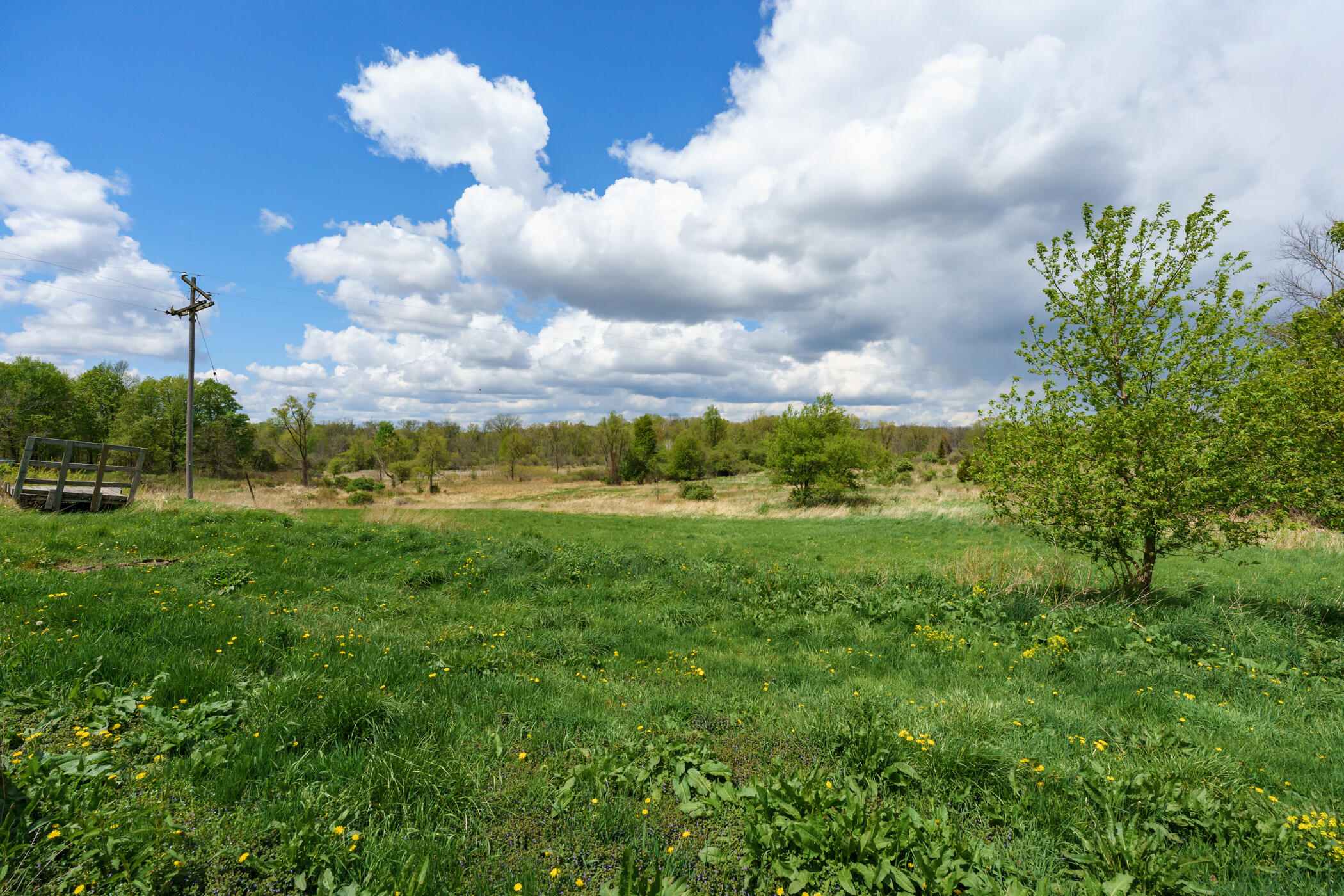 2715 Ragla Road Hastings, MI 49058 - Photo 54 of 70 Ragla_Rd_2715_Hastings_49058-2