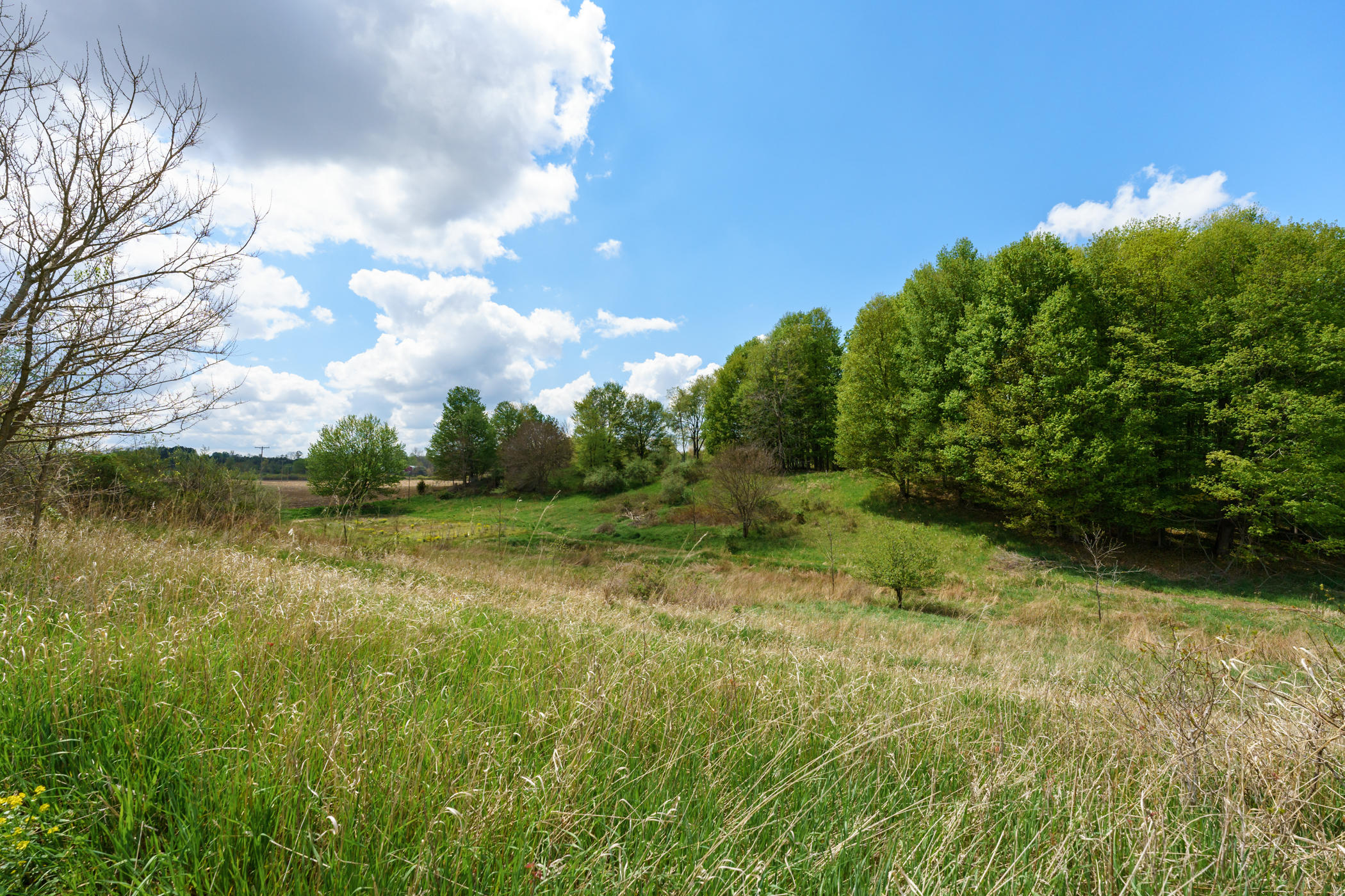2715 Ragla Road Hastings, MI 49058 - Photo 56 of 70 Ragla_Rd_2715_Hastings_49058-4