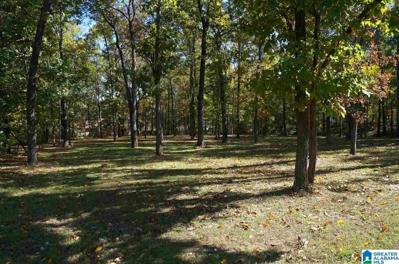 531 Center Point Road Sylacauga, AL 35151 - Photo 33 of 34