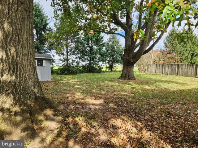 a view of a yard with plants and trees