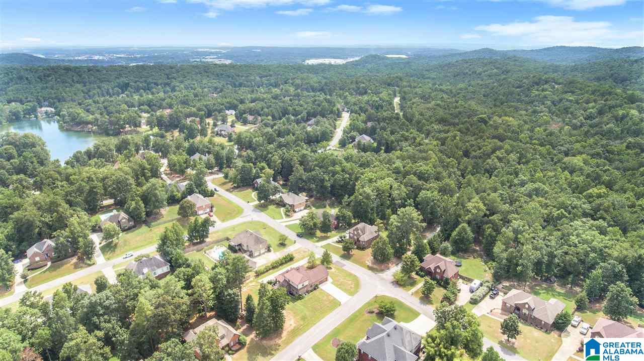 253 Thoroughbred Lane Alabaster, AL 35007 - Photo 38 of 38