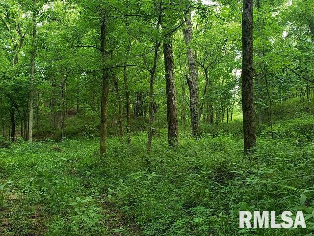 0 East Divide Road Texico, IL 62889 - Photo 20 of 29 a view of outdoor space and green space