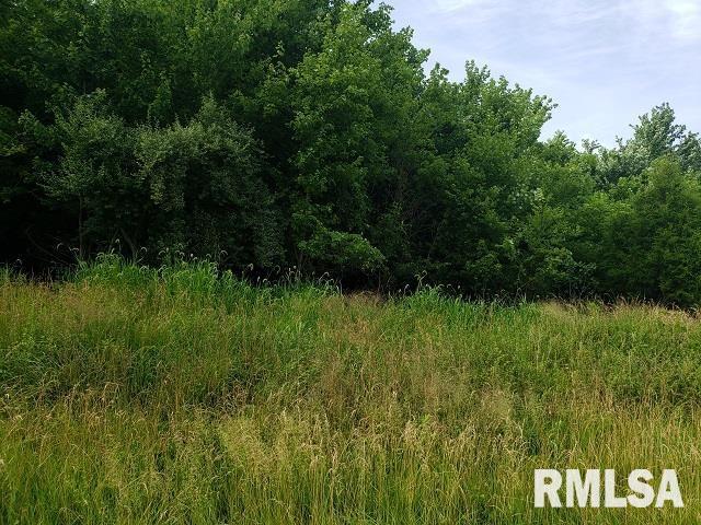 0 East Divide Road Texico, IL 62889 - Photo 23 of 29 a view of a lush green forest