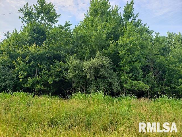 0 East Divide Road Texico, IL 62889 - Photo 5 of 29 a view of a lush green space