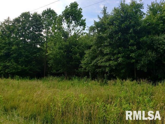0 East Divide Road Texico, IL 62889 - Photo 7 of 29 a view of outdoor space and a yard