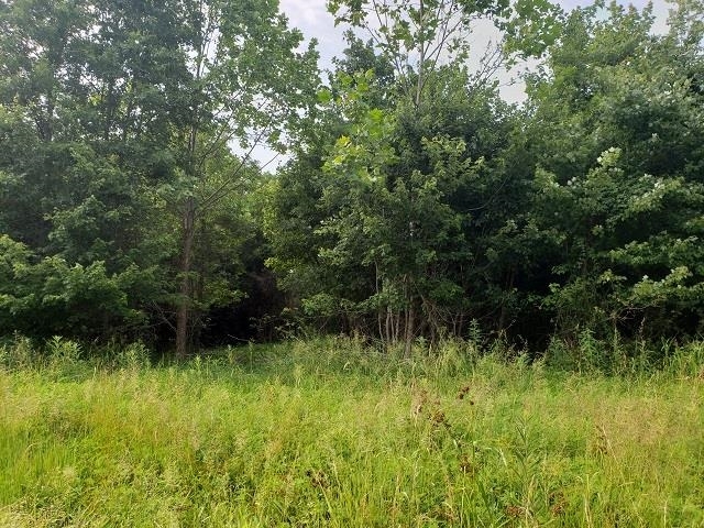 0 East Divide Road Texico, IL 62889 - Photo 9 of 29 a view of outdoor space with a lake view