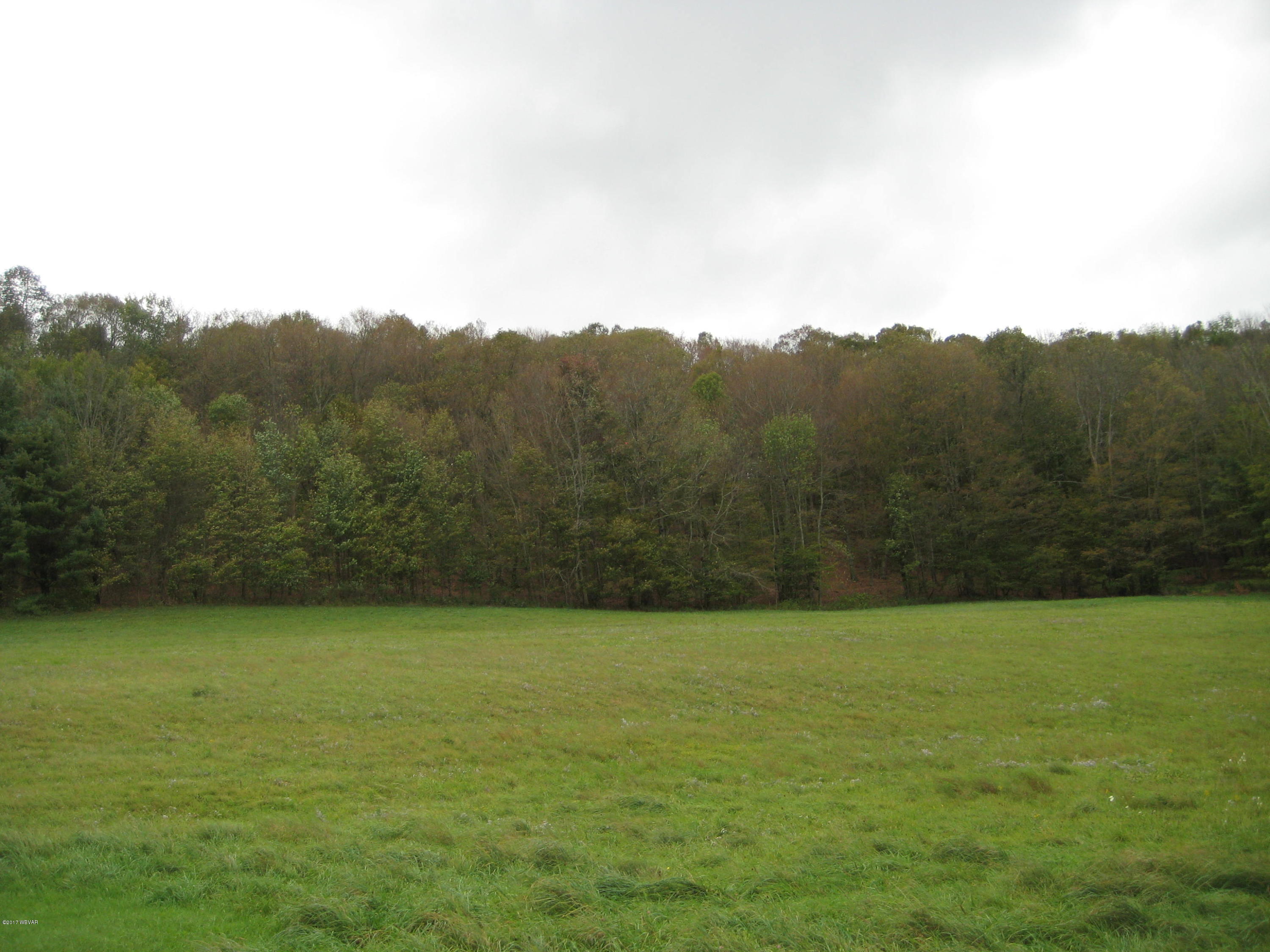 629 Litzelman Road Dushore, PA 18614 - Photo 10 of 43 IMG_1731