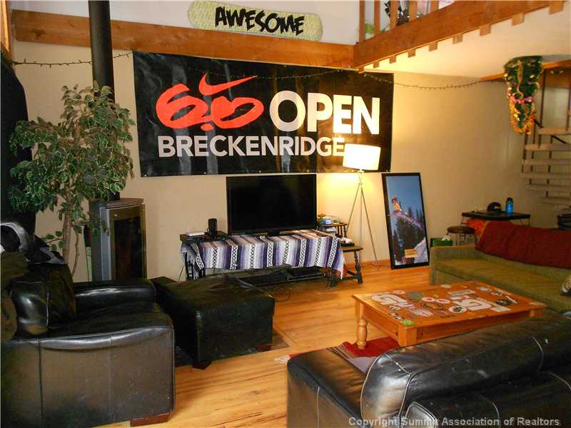 166 Fuller Placer Road, Unit 4 Breckenridge, CO 80424 - Photo 4 of 8 Other.