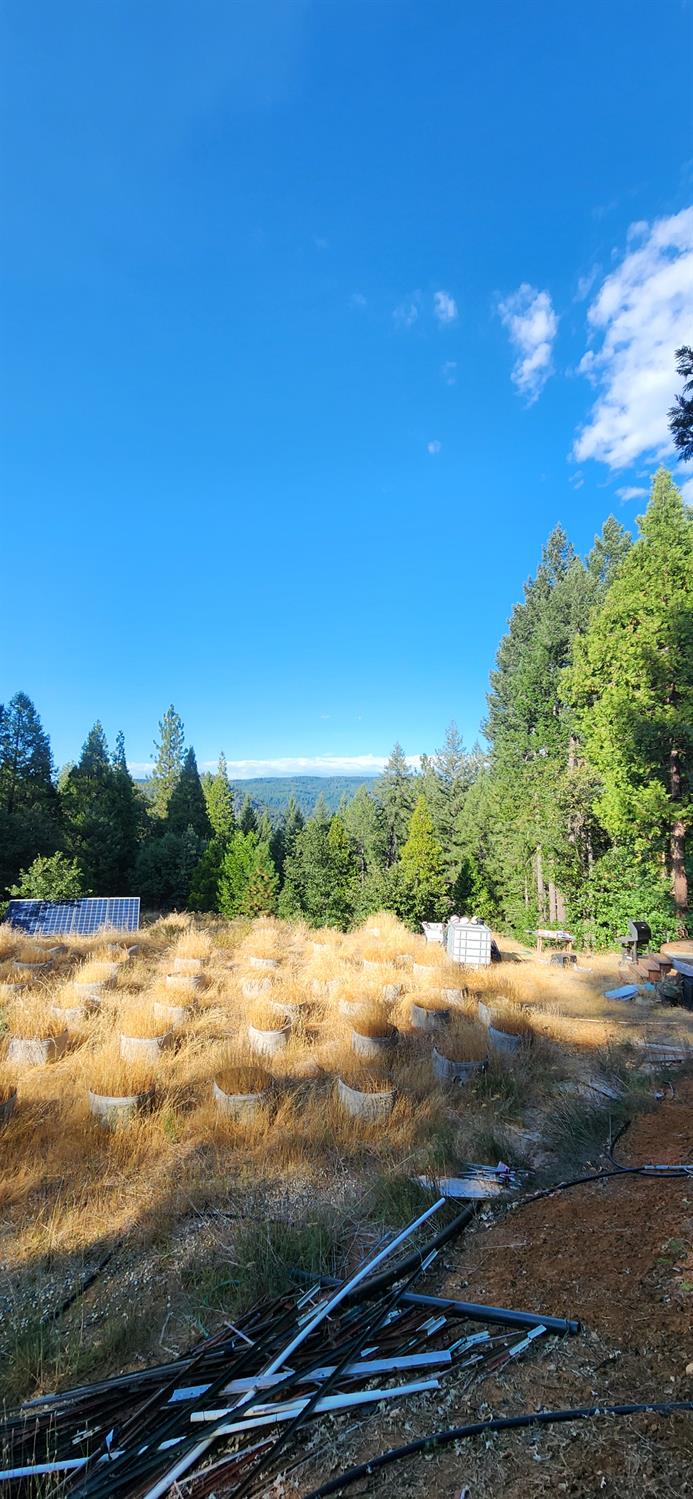 20392 Madrone Springs Road Nevada City, CA 95959 - Photo 16 of 18