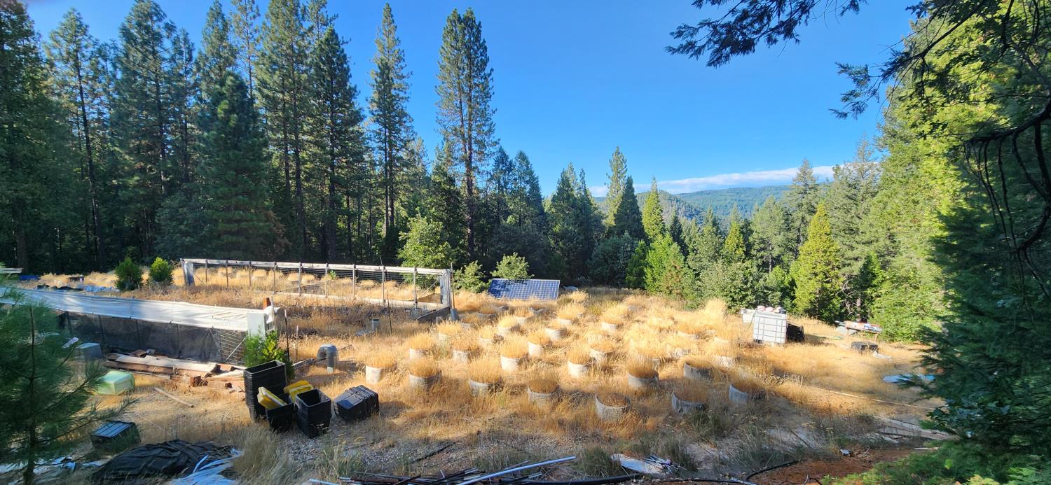 20392 Madrone Springs Road Nevada City, CA 95959 - Photo 17 of 18 a view of a yard with trees