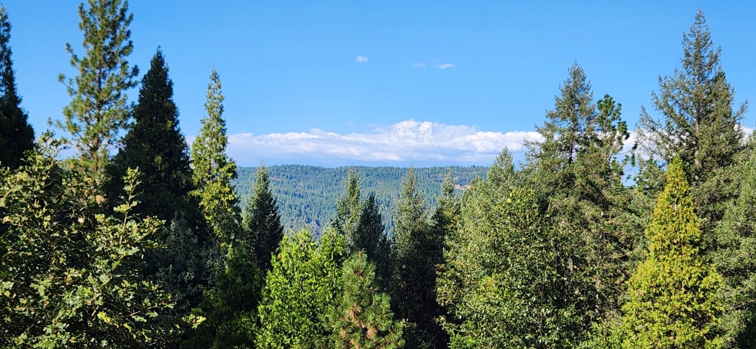 20392 Madrone Springs Road Nevada City, CA 95959 - Photo 5 of 18 a view of a city