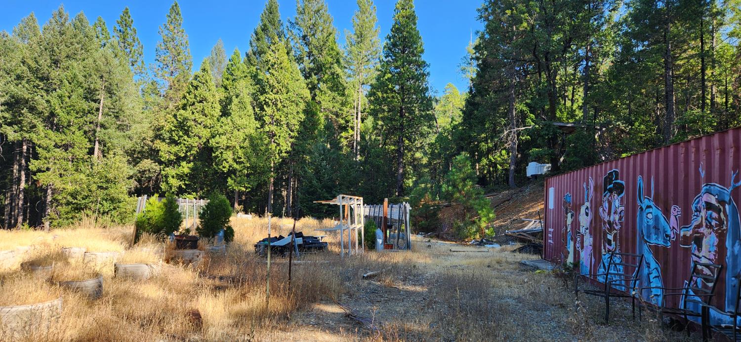 20392 Madrone Springs Road Nevada City, CA 95959 - Photo 6 of 18 a view of a outdoor space and deck