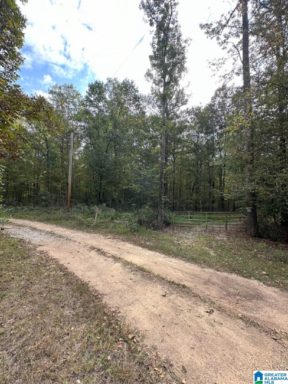 0 Cathedral Caverns Road Woodville, AL 35776 - Photo 3 of 14