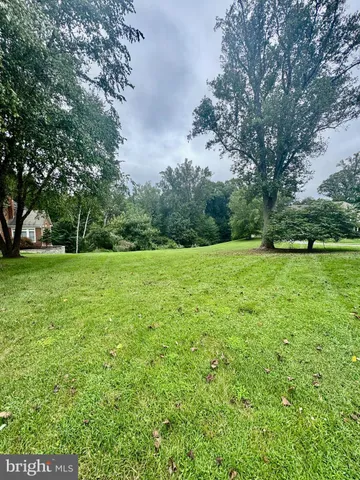 a view of a field with trees in the background