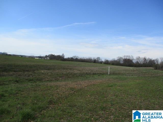 160 Highway Parcel Al, Unit 1 Cleveland, AL 35049 - Photo 9 of 10