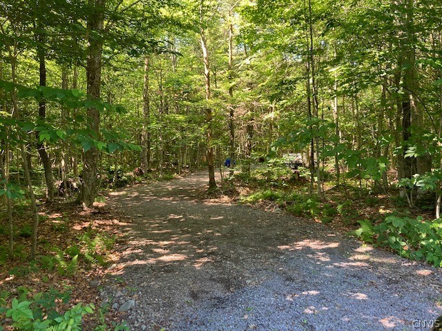 95 Maple Ridge Road Redfield, NY 13437 - Photo 1 of 1 Gallery Image 1