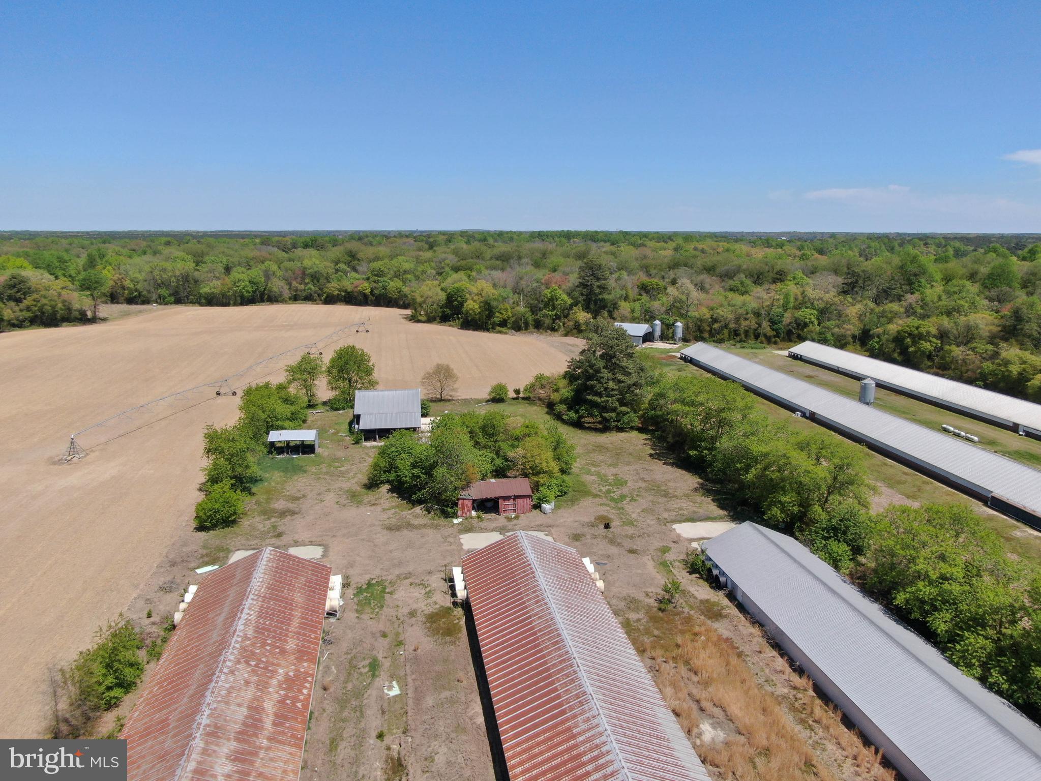 12911 Trussum Pond Road Laurel, DE 19956 - Photo 2 of 15 a view of a lake with a yard