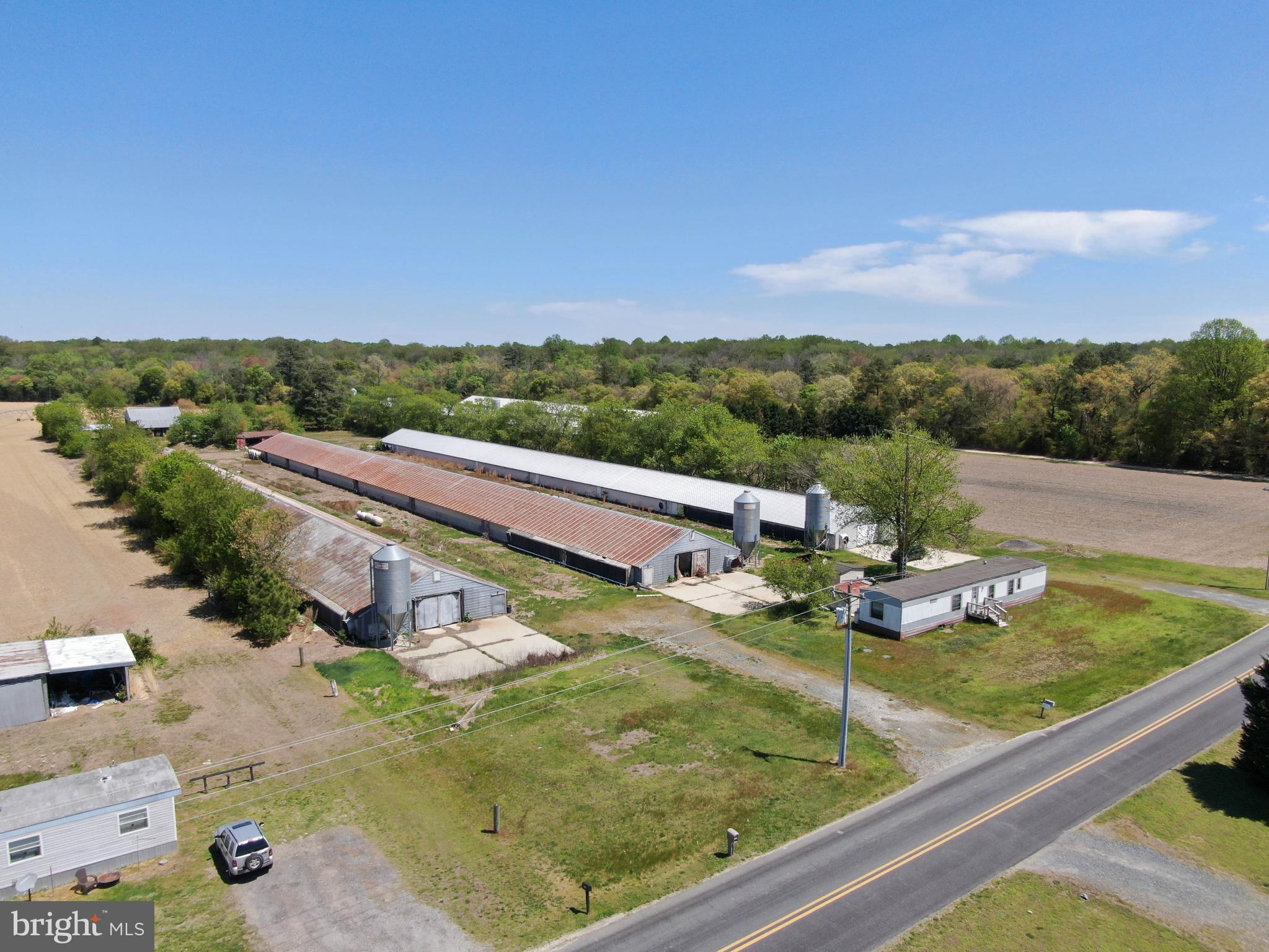 12911 Trussum Pond Road Laurel, DE 19956 - Photo 4 of 15 a view of a pool with a yard