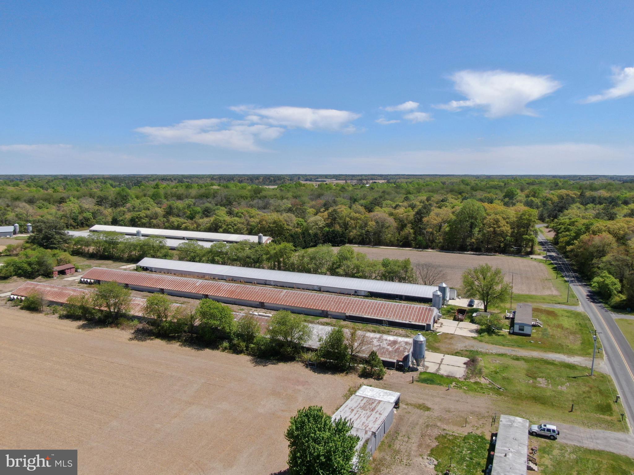 12911 Trussum Pond Road Laurel, DE 19956 - Photo 6 of 15 a view of a city