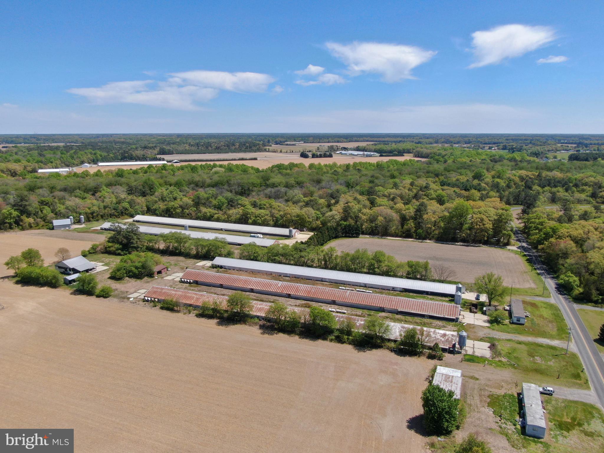 12911 Trussum Pond Road Laurel, DE 19956 - Photo 7 of 15 a view of a street with an ocean view