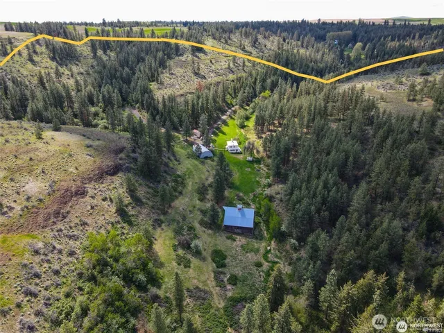 a view of a forest with a lake view