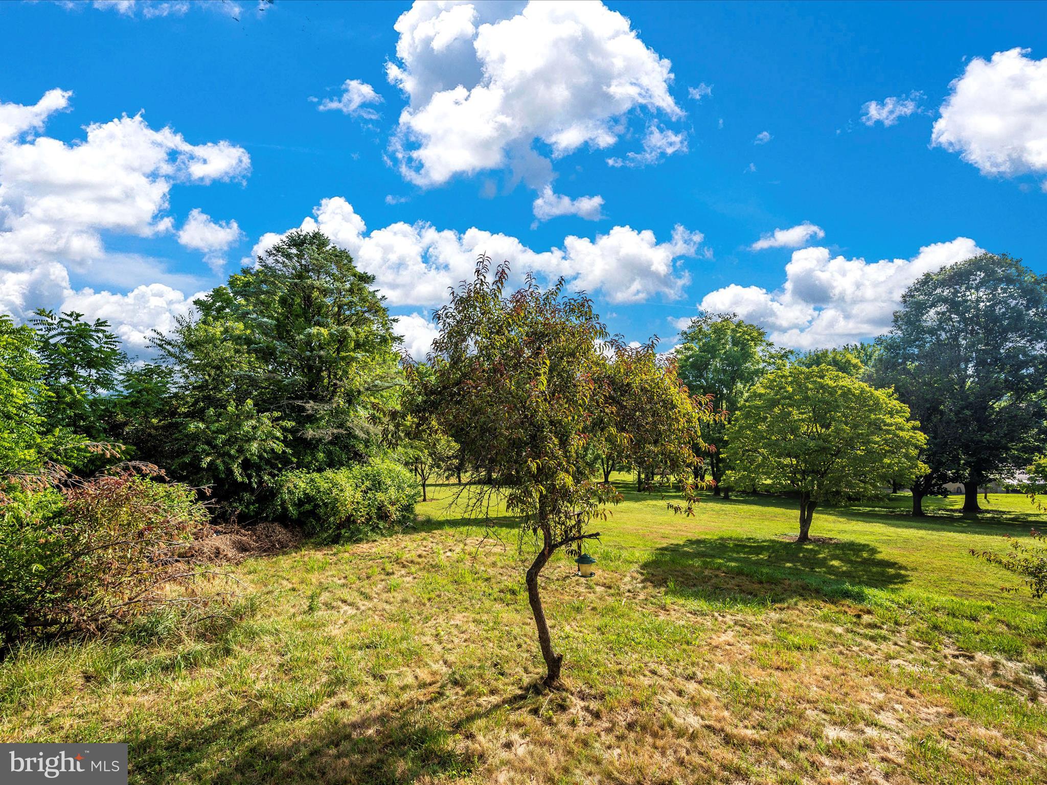 12343 Big Spring Road Clear Spring, MD 21722 - Photo 9 of 52 PDR_0655