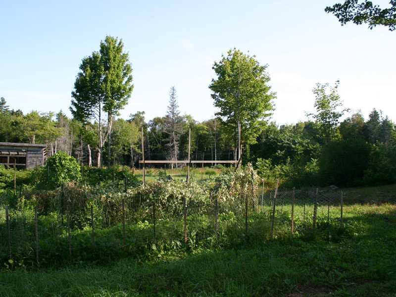 25 Commissary Point Road Lubec, ME 04652 - Photo 3 of 20 Land.