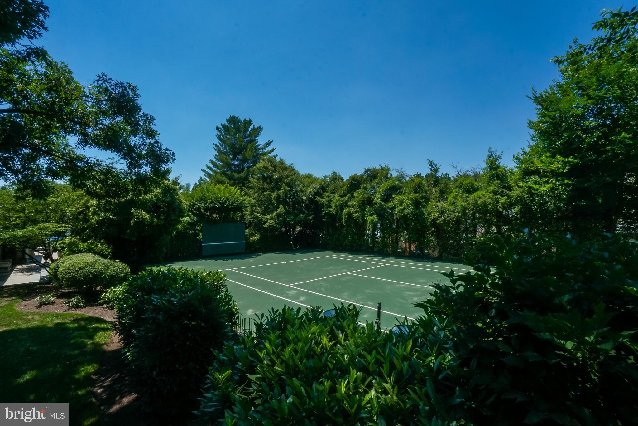 5320 27th Street Northwest Washington, DC 20015 - Photo 3 of 42 a view of a field with plants and a trees in the background