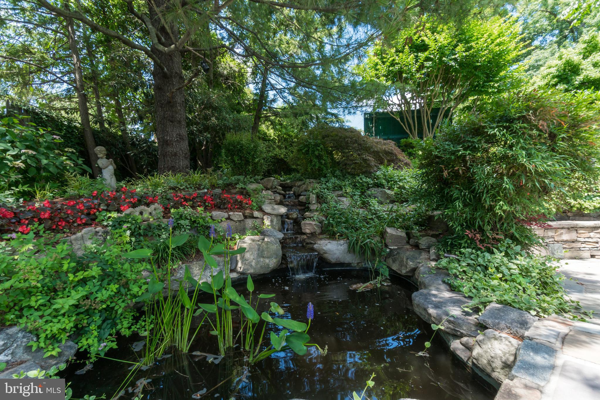 5320 27th Street Northwest Washington, DC 20015 - Photo 39 of 42 a view of a garden with flowers and trees