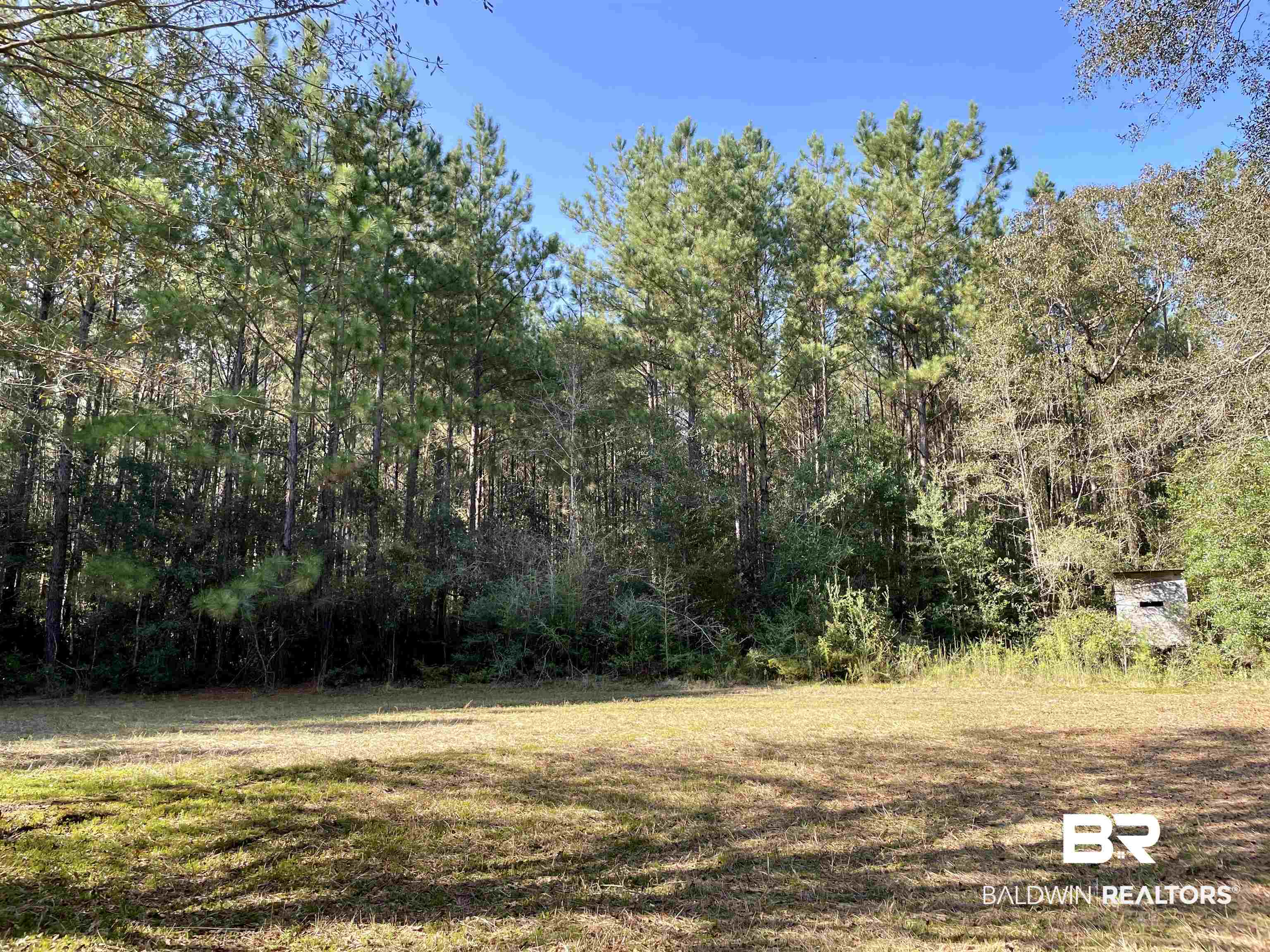 0 Country Road Vinegar Bend, AL 36584 - Photo 13 of 46