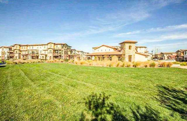 a view of a big yard with large trees