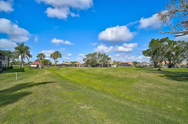 a picture of a black and white photo