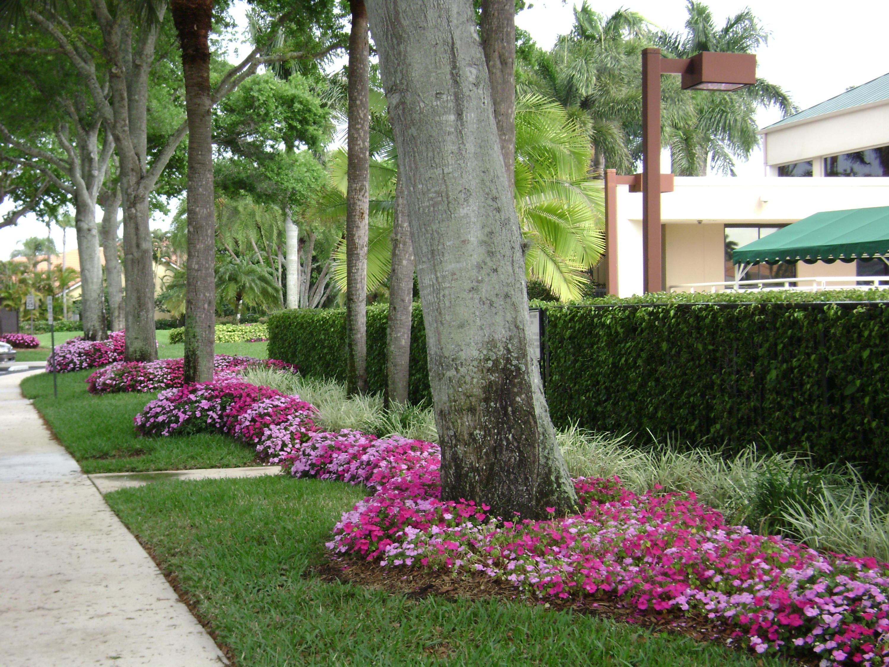 6749 Portside Drive Boca Raton, FL 33496 - Photo 34 of 48 dsc01054