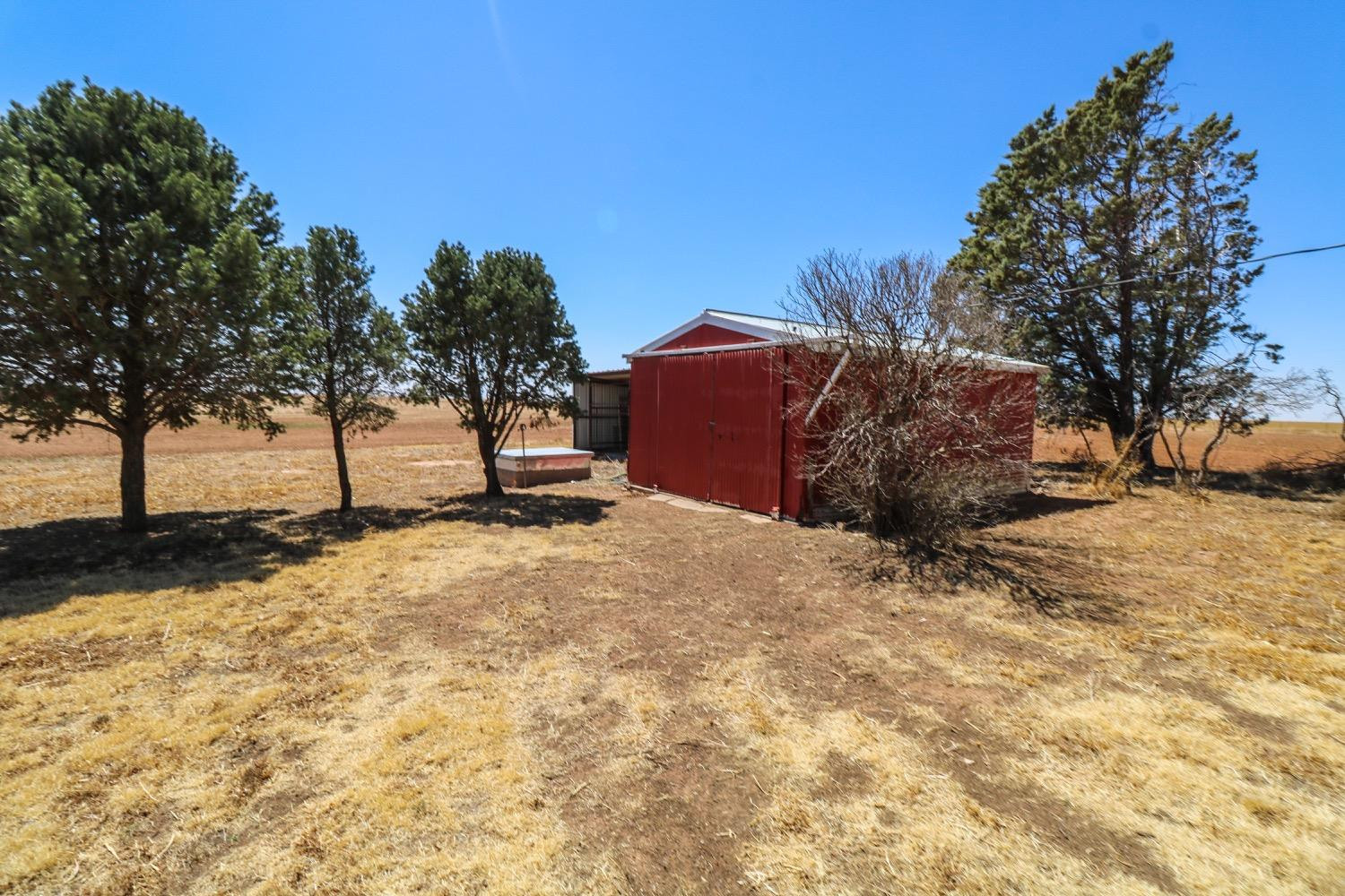 450 County Road 29 Muleshoe, TX 79347 - Photo 22 of 27 a view of outdoor space with trees