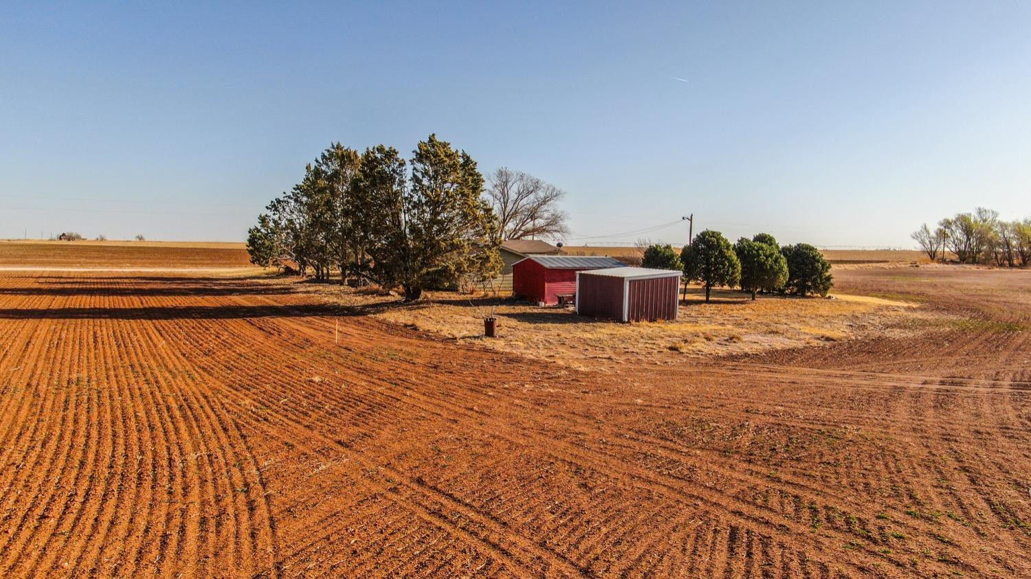 450 County Road 29 Muleshoe, TX 79347 - Photo 25 of 27