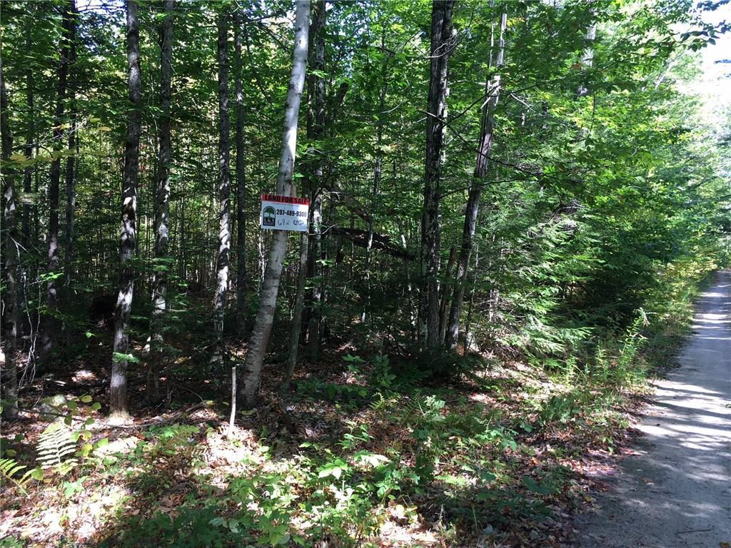 9 Island Road Fryeburg, ME 04037 - Photo 3 of 3 Photo