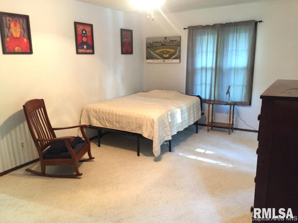 207 Deer Creek Road Rochester, IL 62563 - Photo 26 of 33