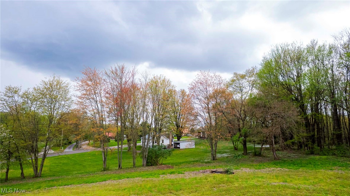 7997 Chestnut Ridge Road Northwest Beach City, OH 44608 - Photo 20 of 31 View of green lawn