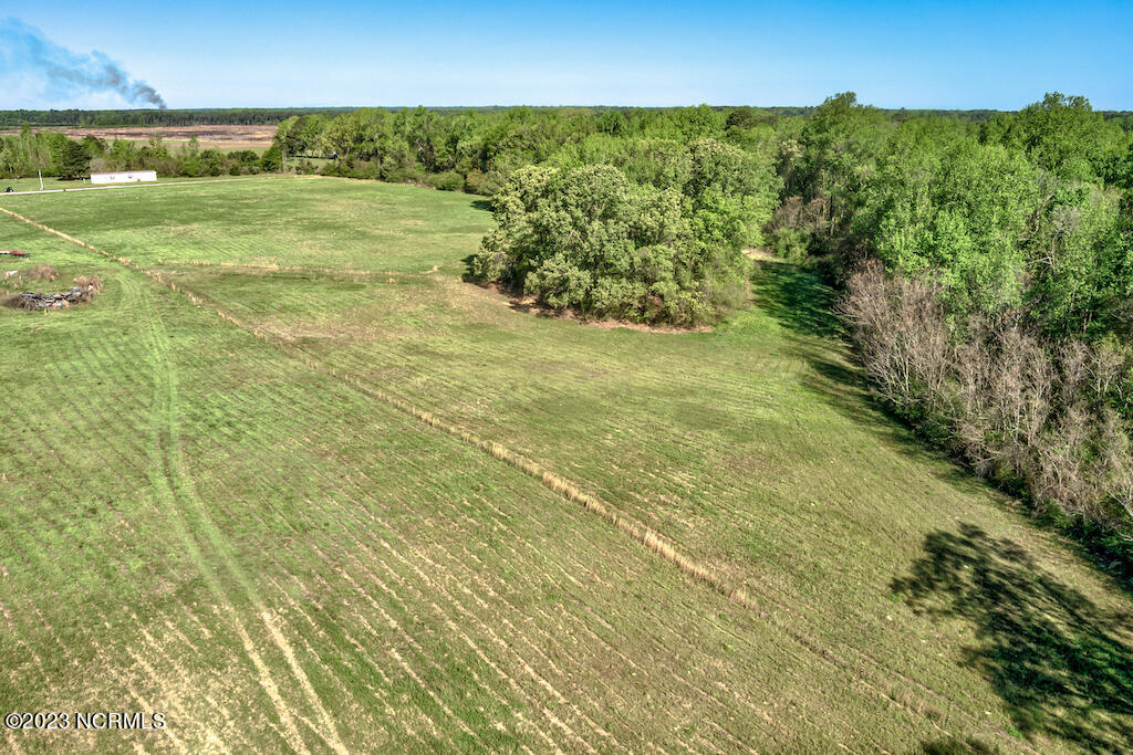 0 Pine Ridge Road Faison, NC 28341 - Photo 11 of 27 11