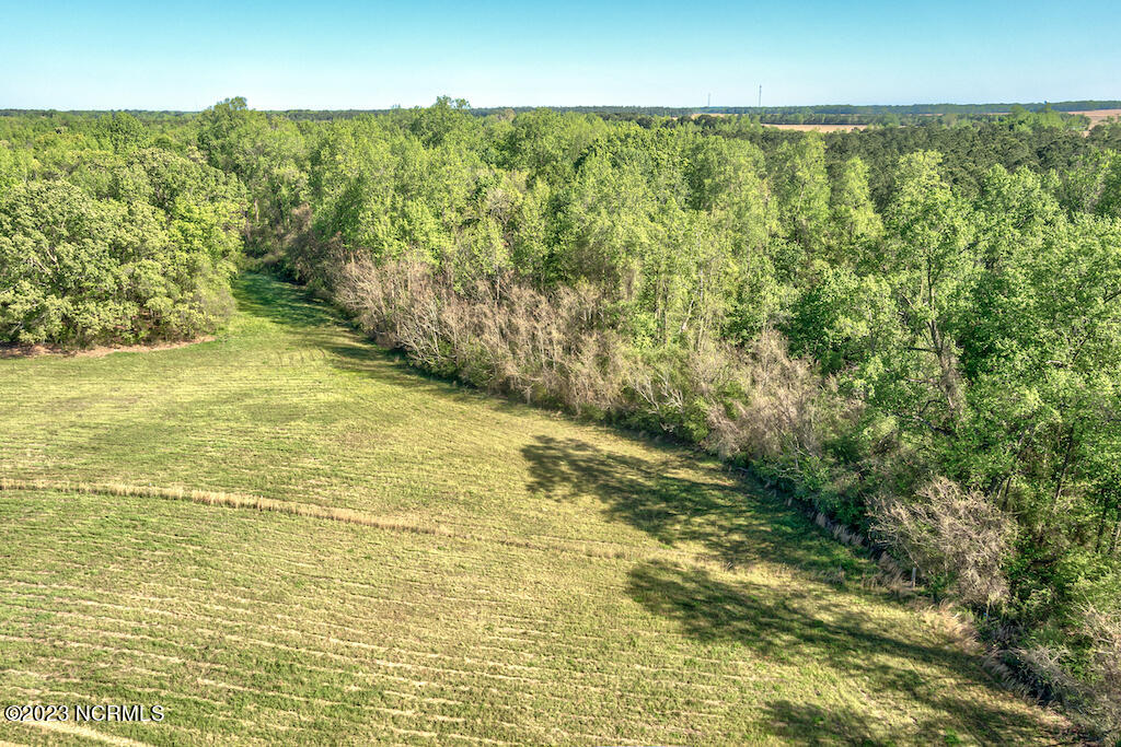 0 Pine Ridge Road Faison, NC 28341 - Photo 12 of 27 12