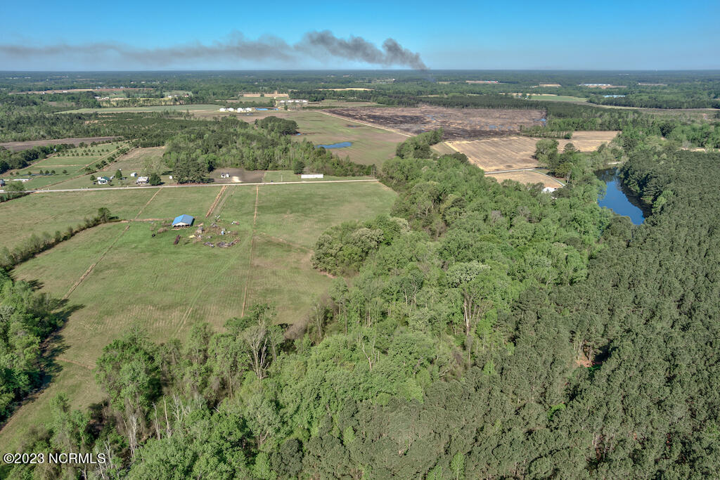 0 Pine Ridge Road Faison, NC 28341 - Photo 14 of 27 14