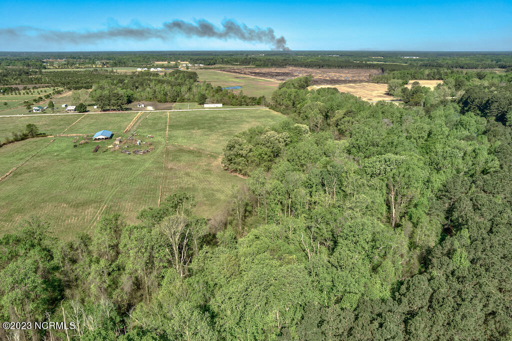 0 Pine Ridge Road Faison, NC 28341 - Photo 15 of 27 15