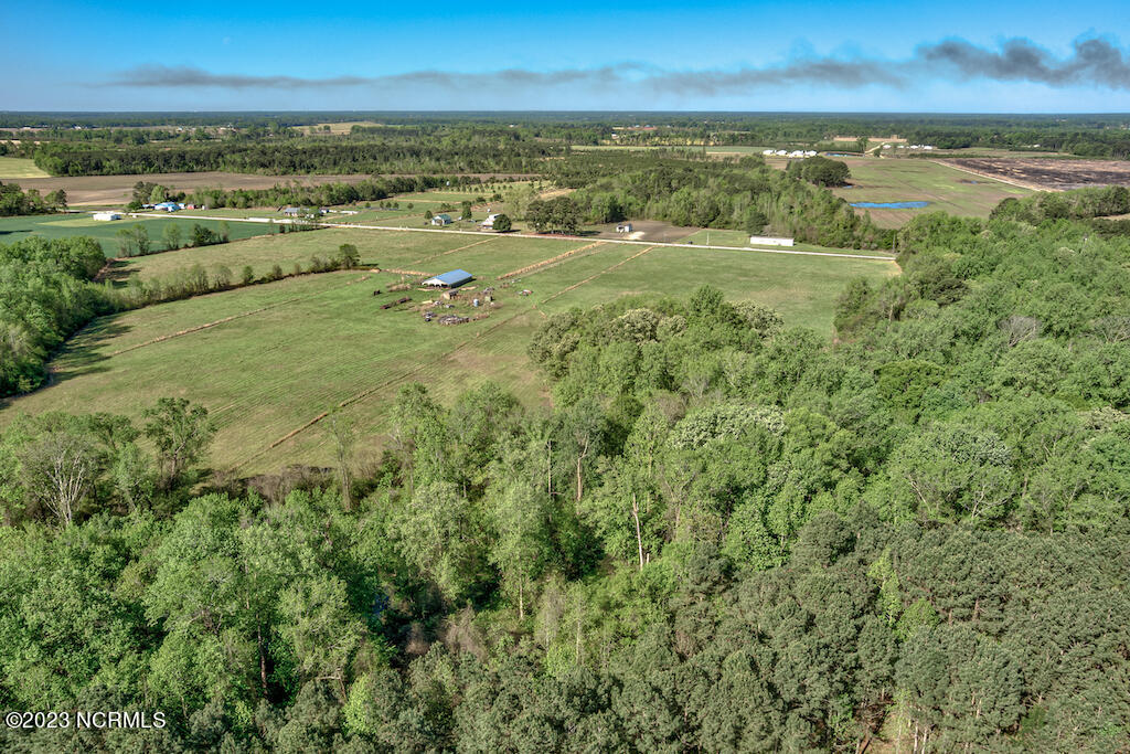 0 Pine Ridge Road Faison, NC 28341 - Photo 17 of 27 17