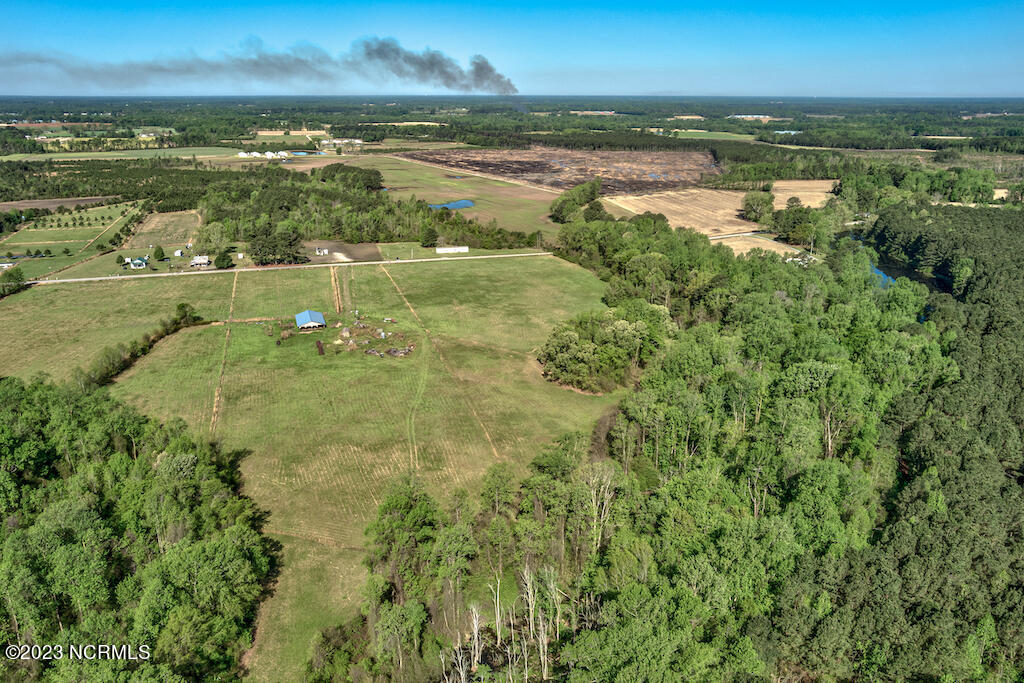 0 Pine Ridge Road Faison, NC 28341 - Photo 18 of 27 18